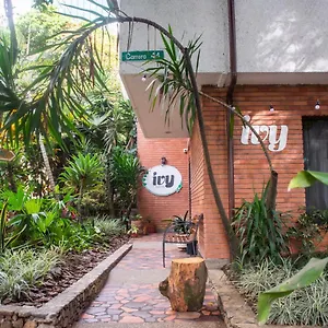 Ivy Colombie